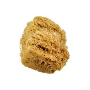 Image of a Royal and Langnickel Artist Sponge Sea Sponge