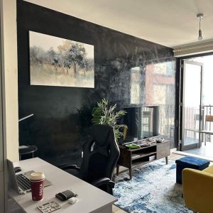 Venetian Plasters Image of feature wall created with Decoveno black stucco veneziano