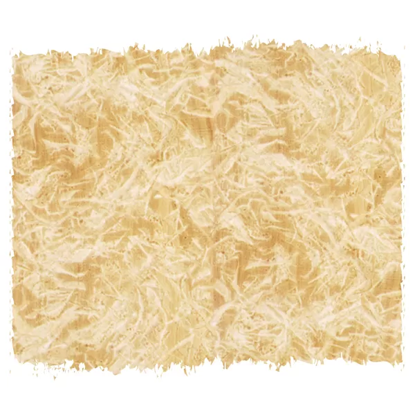 Tampone Pelle - Image 2